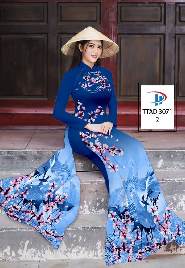 vai ao dai dep%20(24)